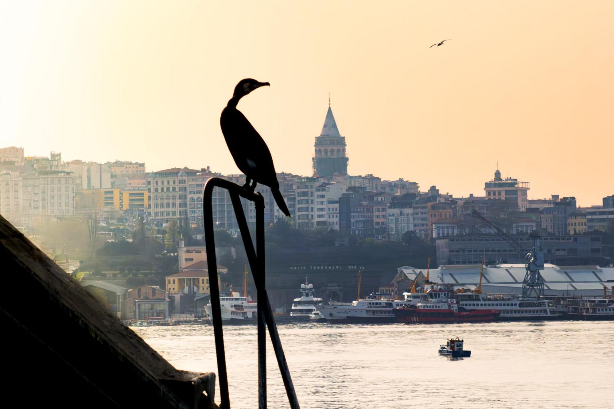 Rixos Tersane Istanbul Hotel Bagian luar foto